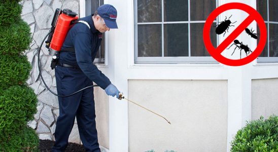 Hanönü Bit İlaçlama böcek ilaçlama ve haşere kontrolü — ilaclama-tr.com